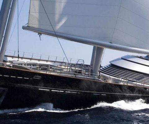 Maltese Falcon