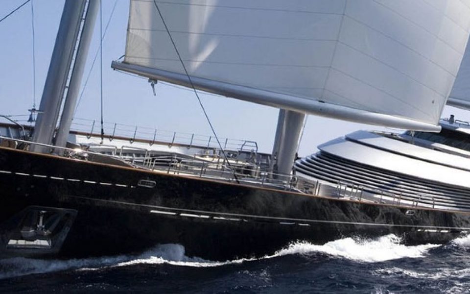 Maltese Falcon